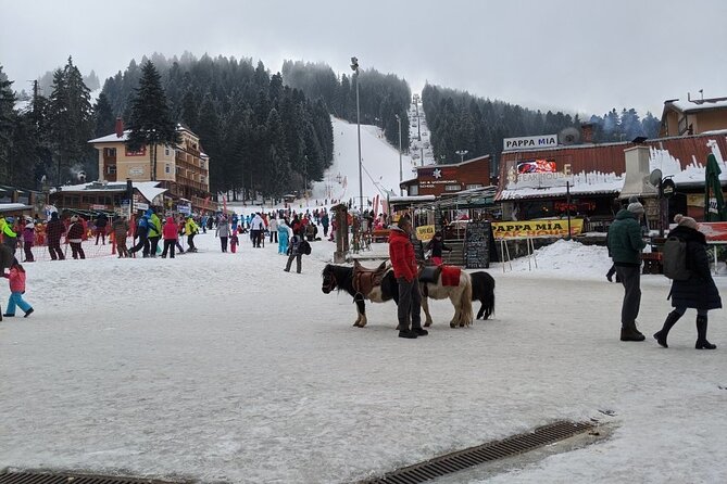 5-Day Ski Equipment Rental in Borovets - Price value check for $67.18 over 5 days