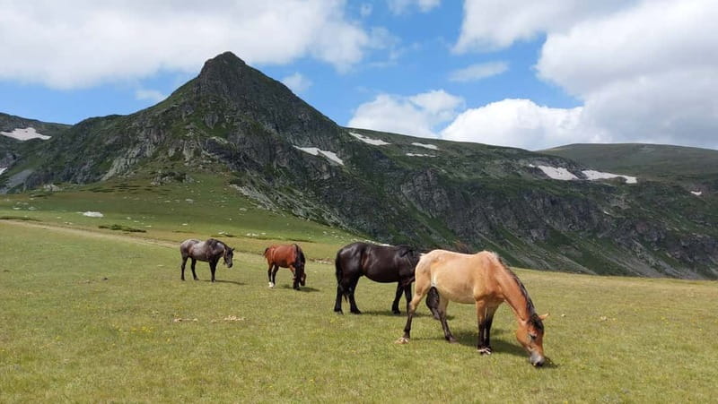 7 Rila lakes and Rila monastery day tour from Sofia - Key points worth knowing before you go