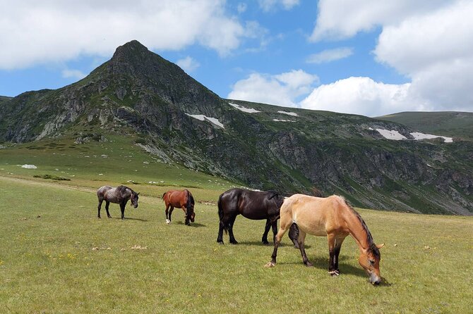 7 Rila Lakes and Rila Monastery Small Group Day tour from Sofia - Price and Value: What $98.48 Really Buys You