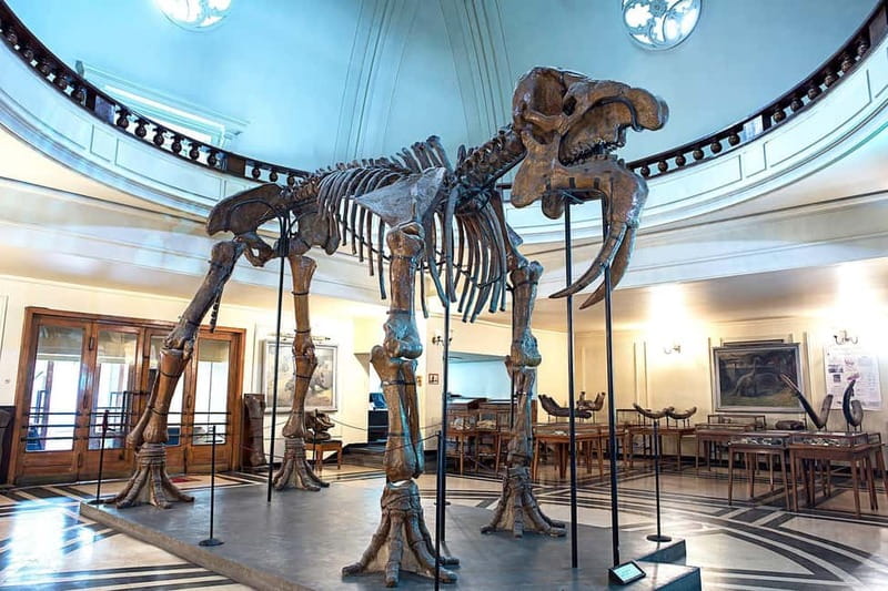 Audio Guide for Museum Paleontology and Historical Geology - Key things to know before you go