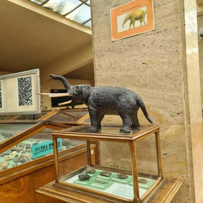 Audio Guide for Museum Paleontology and Historical Geology - Sofia University corridors under a dome, and why it matters