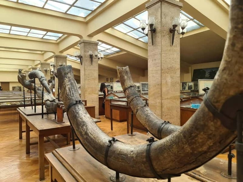 Audio Guide for Museum Paleontology and Historical Geology - More than 200,000 specimens, so plan for focus not speed