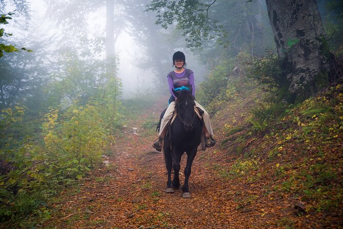 Balkan Horse Riding - Glozhene Monastery Ride - Helmets, Horses, and Rider Comfort: What to Check Before You Mount