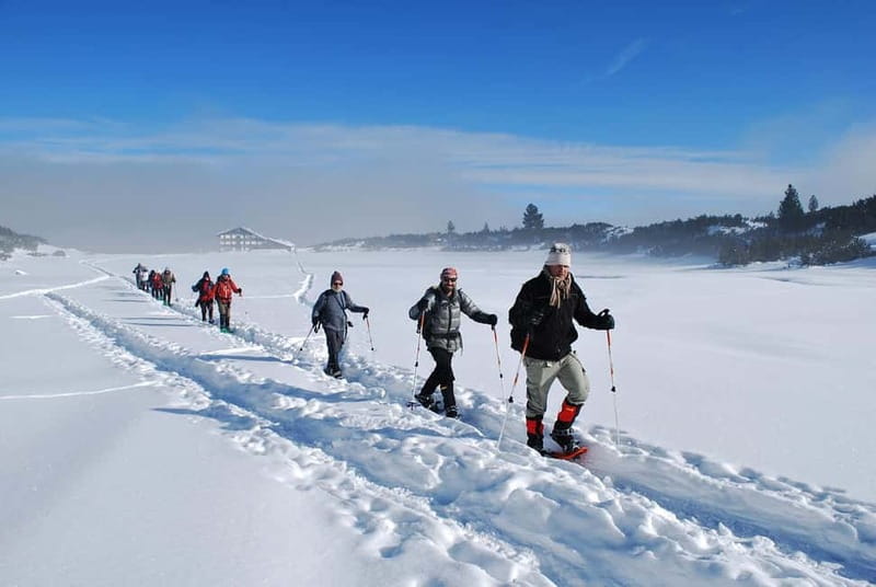 Bansko: Easy snowshoeing Pirin National Park & thermal spa - Key Highlights at a Glance