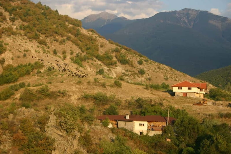 Bansko: Rare Bulgarian Pets Experience - Organic Product Tasting: A Real Taste of the Region