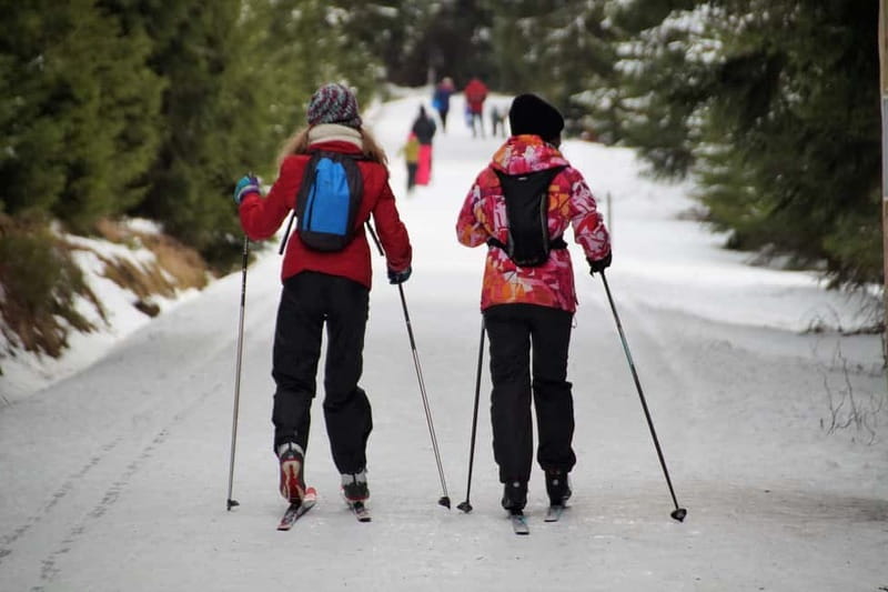 Borovets: 2-Hour Cross Country Ski Taster with Instructor - Traventuria and the Biodiversity Focus Behind the Scenes