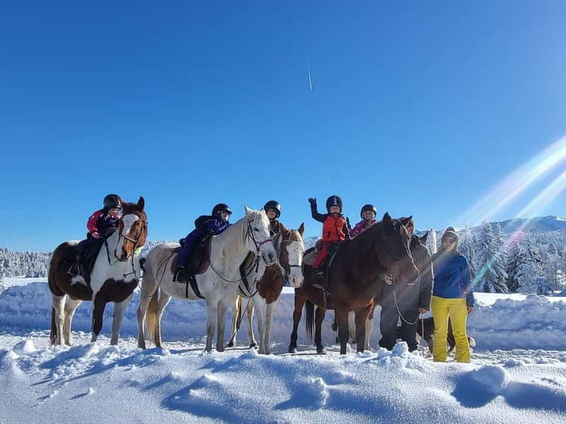 Borovets: Horse Riding Experience - Key things to know before you ride