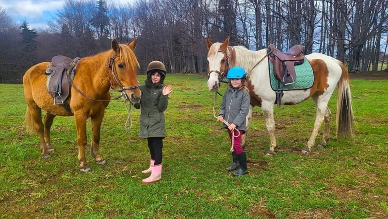 Borovets: Horse Riding Experience - Getting to the ranch from Ski and Board Traventuria Park