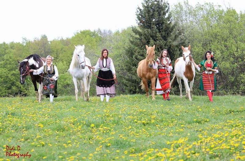 Borovets: Horse Riding Experience - First steps in the saddle, how the lesson actually works