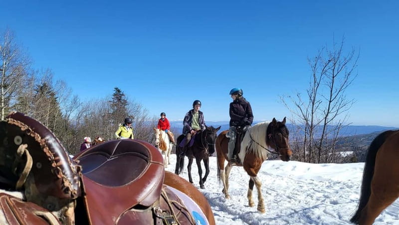 Borovets: Horse Riding Experience - Safety setup that keeps the experience stress-free