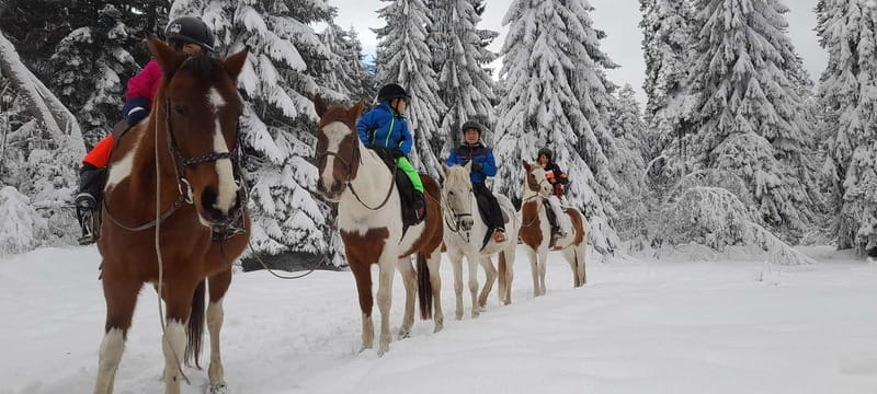 Borovets: Horse Riding Experience - Price and value: what $73 buys you in Bulgaria