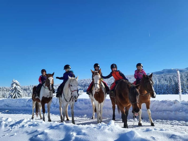 Borovets: Horse Riding Experience - A real ranch moment you might get