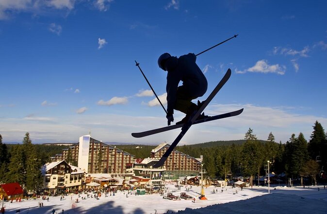Borovets Ultimate Snowmobile Experience - Borovets Forest snowmobiling: guided pace and safety-first fun