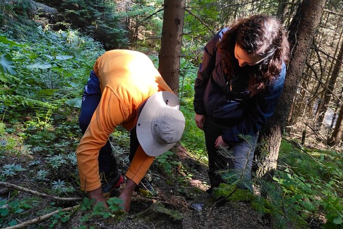 Culinary Adventure To The Fungi And Botanical Kingdom Of Bulgaria - Mushrooms, Herbs, and Wild Berries: What You Learn Before Lunch