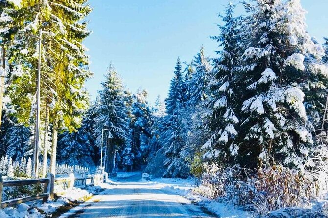 Day Tour: Ski Borovets & Relax in Thermal Pools and Sauna - Borovets ski time: 7 hours, plus equipment and lift pass