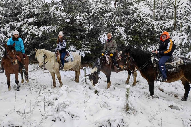 Exclusive Sofia: Nevsky, Vitosha Hoof, Boyana, Horse Ride & Spa - Plana Mountain horse riding, a first-timer friendly nature break