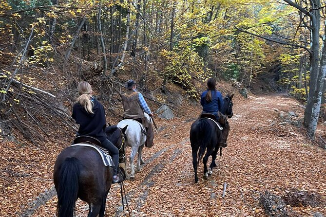 Exclusive Sofia: Nevsky, Vitosha Hoof, Boyana, Horse Ride & Spa - Sapareva Banya thermal spa time, recovery for the end of the day