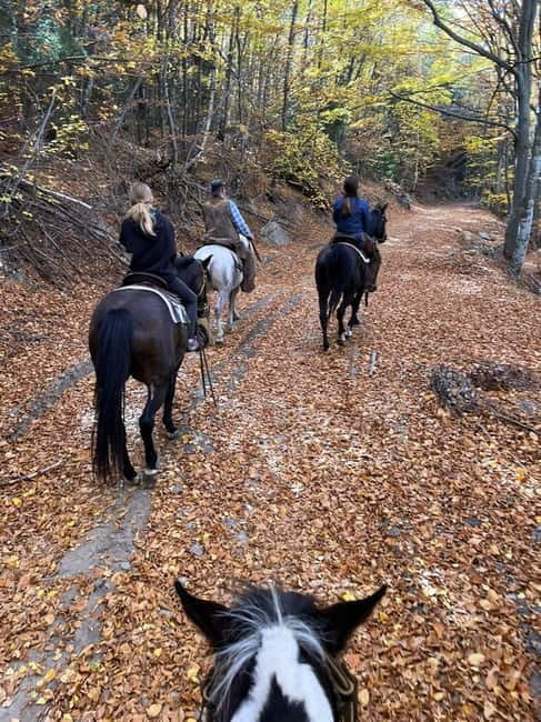 ✨Experience Sofia - nature, history, horse riding and SPA✨ - Sapareva Banya hot springs, mineral water with mountain views