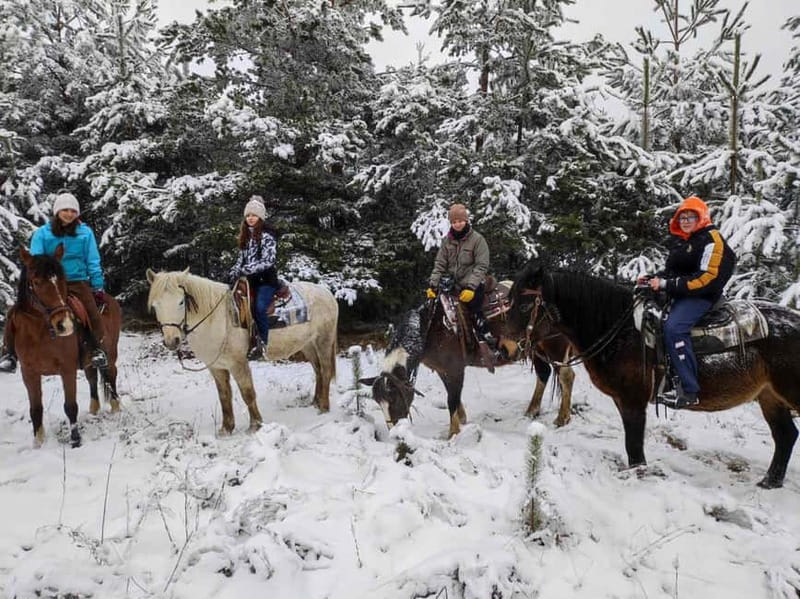 ✨Experience Sofia - nature, history, horse riding and SPA✨ - Price and value: $274 is the whole package, minus lunch