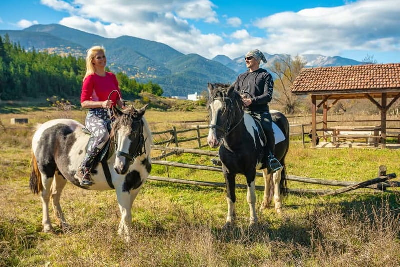 From Bansko: Horse Riding Experience - Quick takes before you go