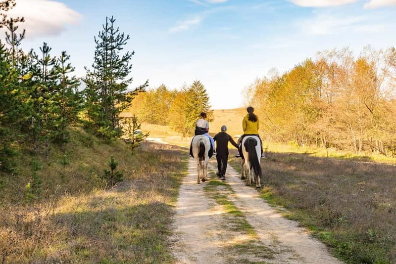 From Bansko: Horse Riding Experience - Who should book this ride from Bansko, and who should skip it