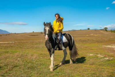 Horse Riding Experience