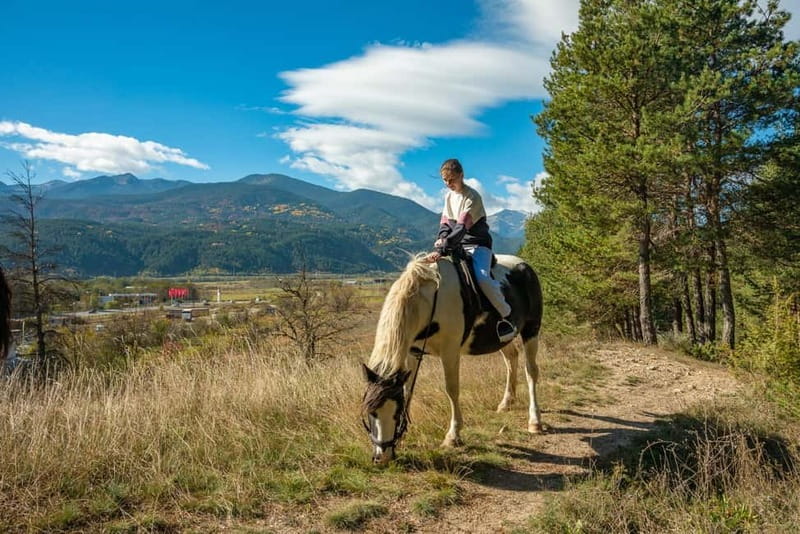 From Bansko: Horse Riding Experience - Ranch reality check: animals, dogs, and how much time you get