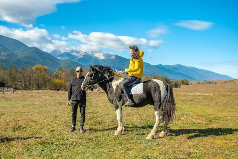 From Bansko: Horse Riding Experience - Communication reality: English driver, but limited English on the stable side