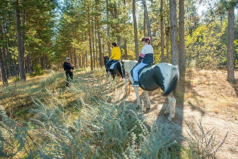 From Bansko: Horse Riding Experience - Tours with a Cause: biodiversity support you can actually feel good about