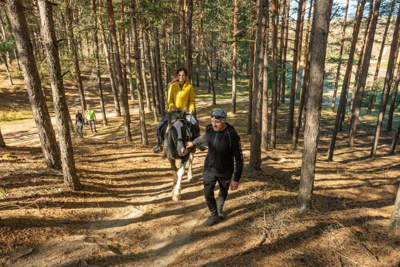 From Bansko: Horse Riding Experience - Price and value: is $56 fair for what you get?