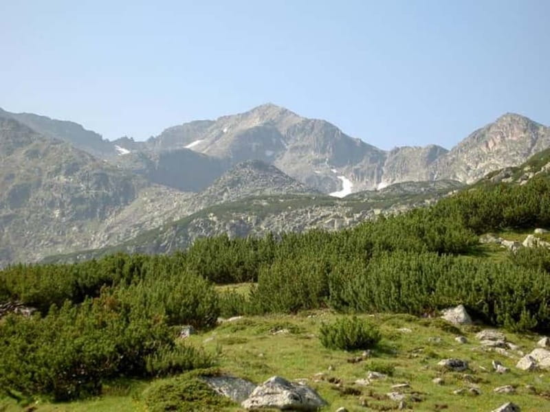 From Plovdiv: Musala Peak Full-Day Trekking Tour - Wildlife and views: where you can actually spot something