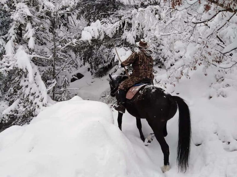 From Smolyan: Waterfalls Canyon Horseback Riding Tour - Key points before you go