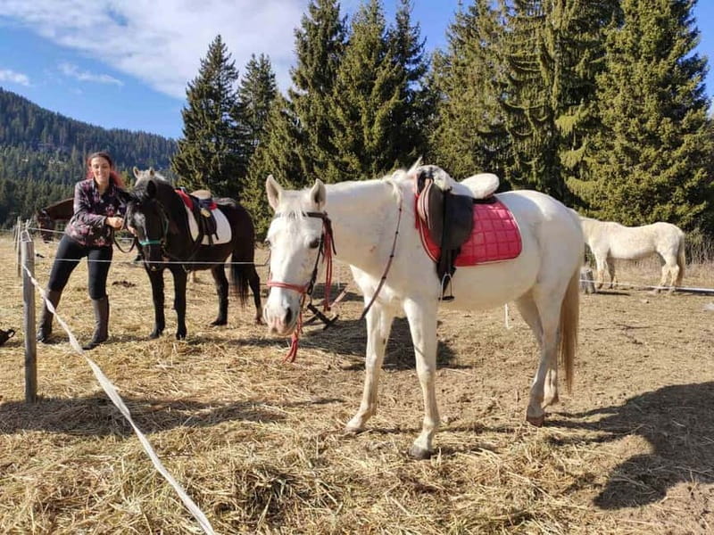 From Smolyan: Waterfalls Canyon Horseback Riding Tour - Choosing your route, from canyon views to Perelik peak