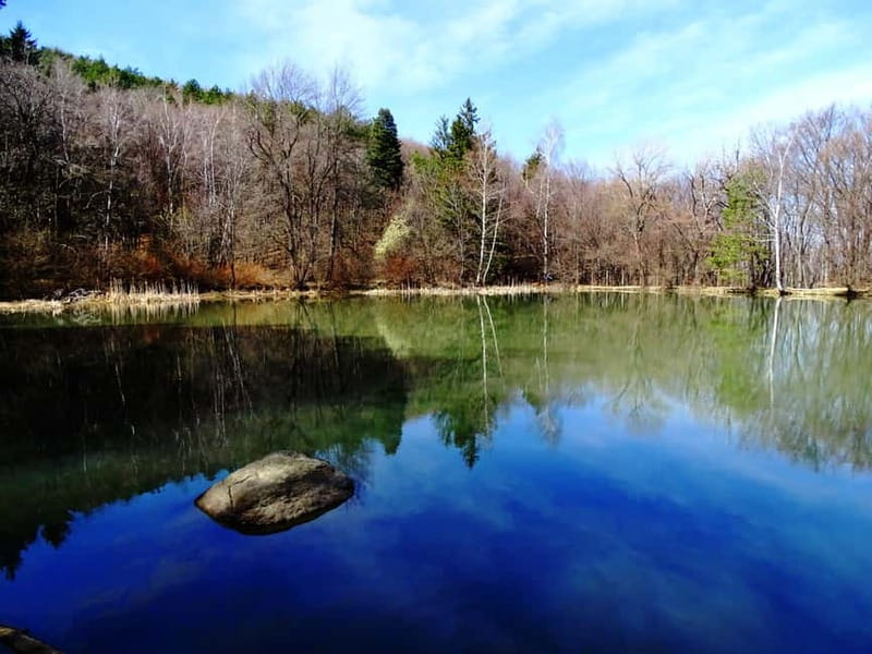 From Sofia: One-Day Tour of Vitosha Mountain - Vitosha From Sofia, Without Losing a Whole Day to Transit