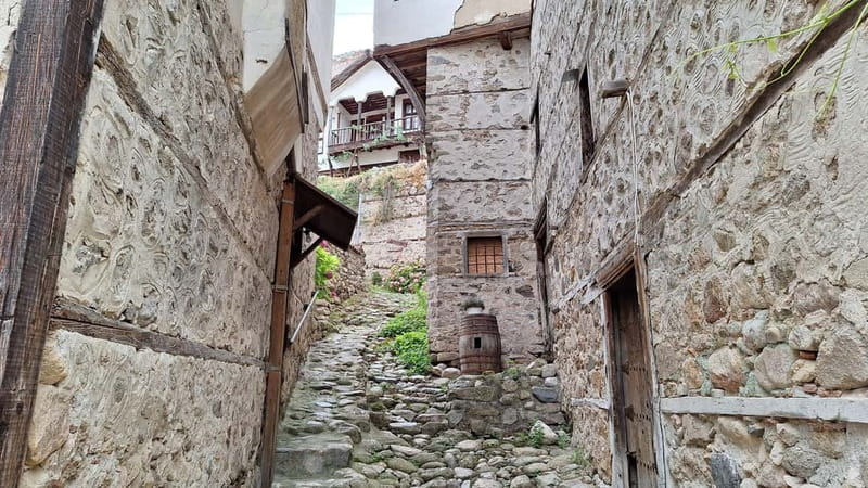 From Sofia: Rila Monastery & Melnik Day Tour - Getting ready: shoes, sun, and the long ride rhythm