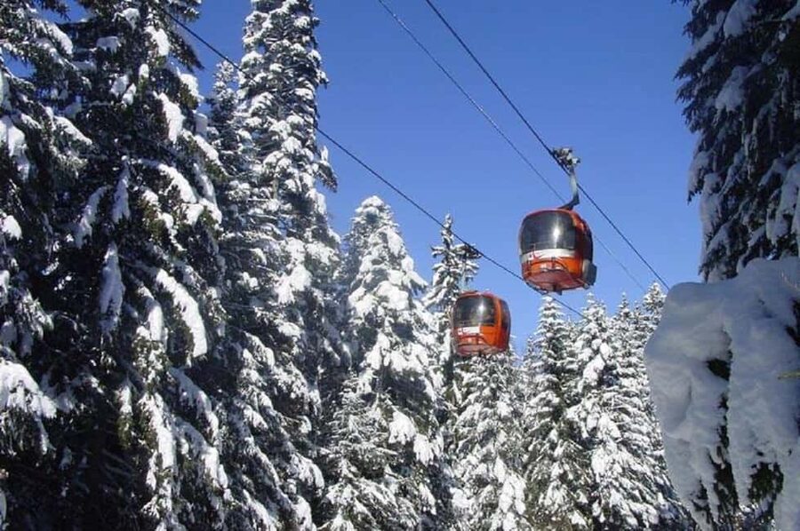 From Sofia: Rila Mountain Winter Day Trip - Nature and SPA! - Food stops, pastry tasting, and what you should expect to pay