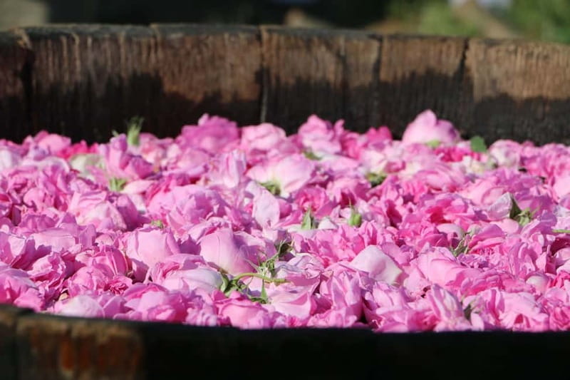 From Sofia: Rose Valley Tour & UNESCO Site Kazanlak - Sofia pickup and the reality of a “fast-paced” 9 hours