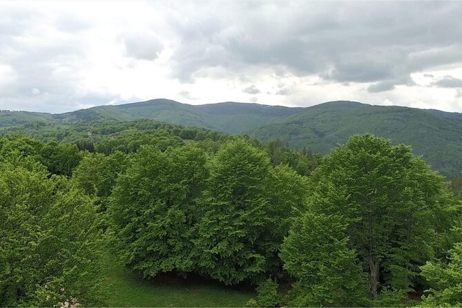 From Sofia: Serbia and Macedonia Trip - How much walking and climbing to expect