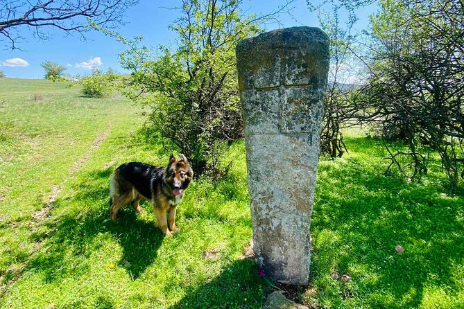 From Sofia The Beauty of the Countryside and a Homemade Lunch - Best-Fit Travel Style: Who Will Love This Day