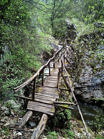 From Sofia: The gorges of Trun and Dragovski stone trail - Group size, pacing, and why the guide matters
