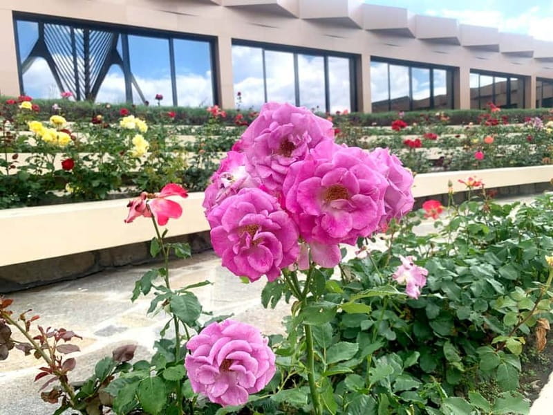 From Sofia: The Rose Valley & Buzludzha Monument Day Tour - Why the guide matters more than you think