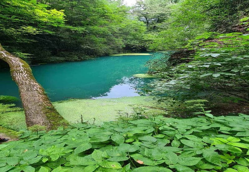 From Sofia: Zlatna Panega River Hike with Springs Visit - Ecotrail Iskar - Panega: the first kilometres and the boat choice