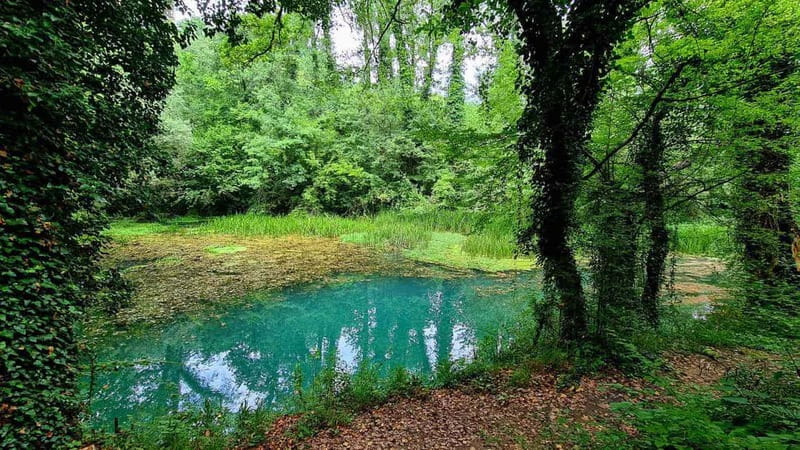 From Sofia: Zlatna Panega River Hike with Springs Visit - Zlatna Panega springs, Glava Panega water, and the cave approach