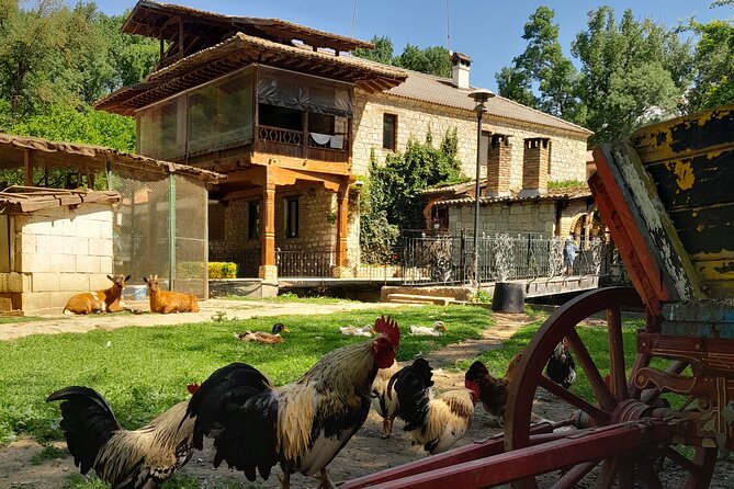 Full-Day Small-Group Tour of Bulgaria by Minivan with Lunch - Passing Varna’s central market: get your bearings from the road