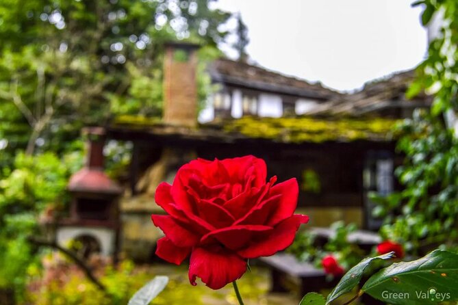Full-Day Tour to Veliko Tarnovo Reserve of Bozhentsi and Etar from Sofia - Tips that actually help on this specific route