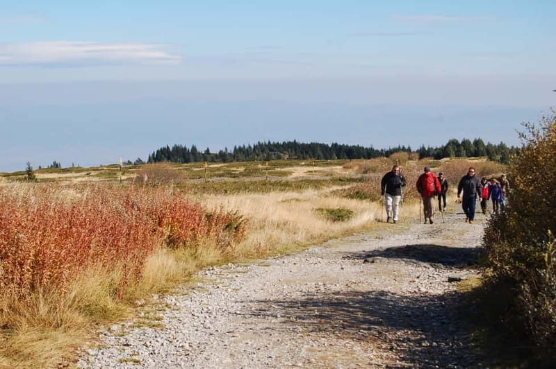Full-Day Vitosha and Cherni Vruh Peak Hiking Tour - Reaching Cherni Vrah (2290m): where the day turns into a payoff