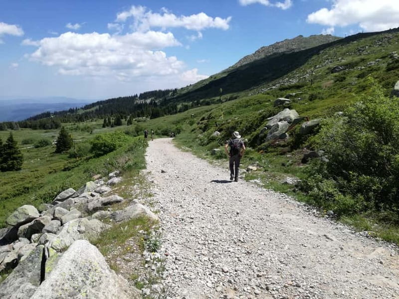 Full-Day Vitosha and Cherni Vruh Peak Hiking Tour - What to pack for unpredictable Vitosha weather (and why it’s not optional)