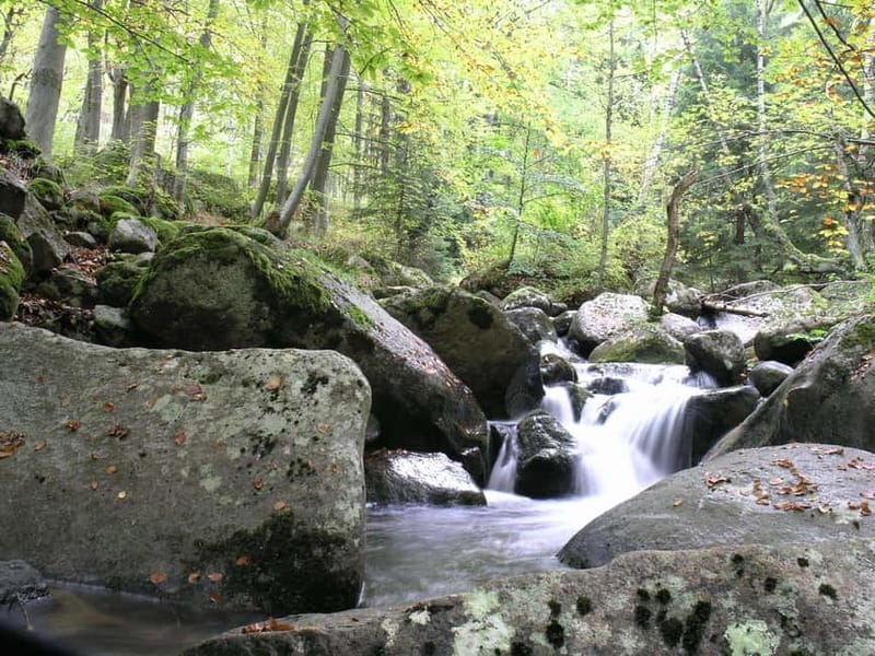 Full-Day Vitosha and Cherni Vruh Peak Hiking Tour - Price and logistics: is $164 good value for this hike?
