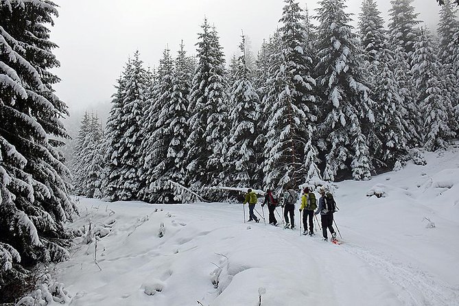 Full-day Vitosha Mountain Snowshoe Hiking Tour from Sofia - Key highlights worth knowing before you go
