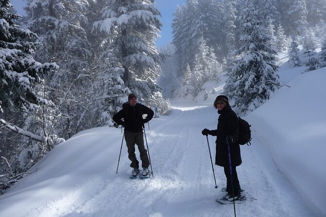 Full-day Vitosha Mountain Snowshoe Hiking Tour from Sofia - Snowshoeing toward Cherni Vrah, Black Peak at 2290 m